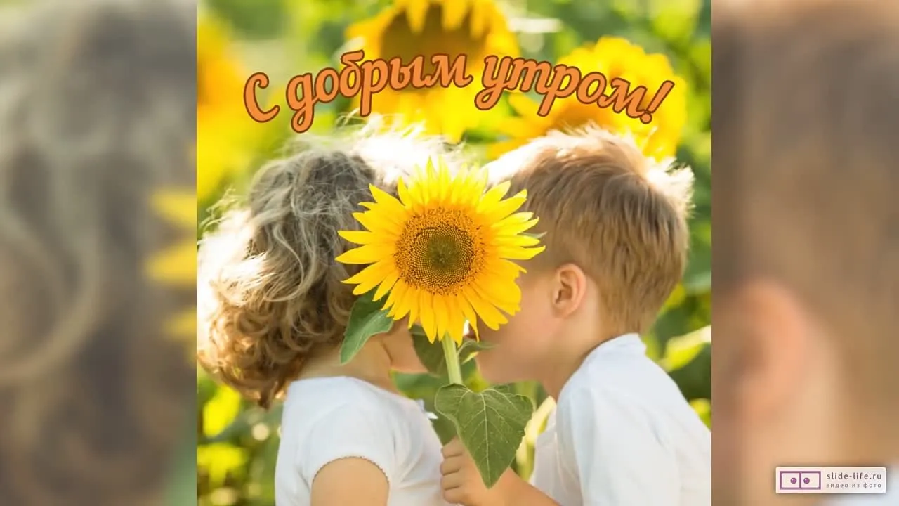Анимированная открытка "Доброе утро"! Скачайте бесплатно! ☀️