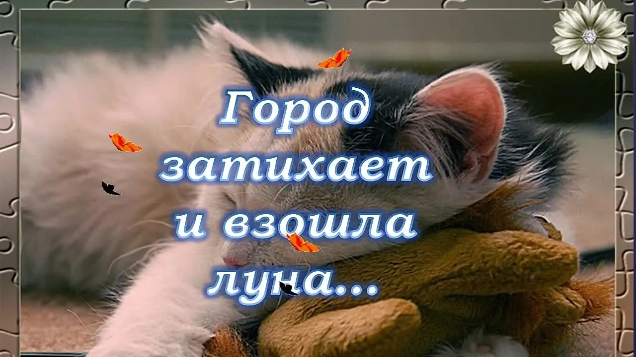 Нежное пожелание спокойной ночи для любимой! Видео-открытка для нее