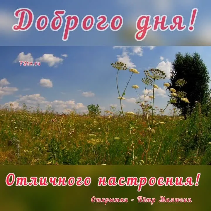 Видеооткрытки «Доброго дня»: скачать бесплатно