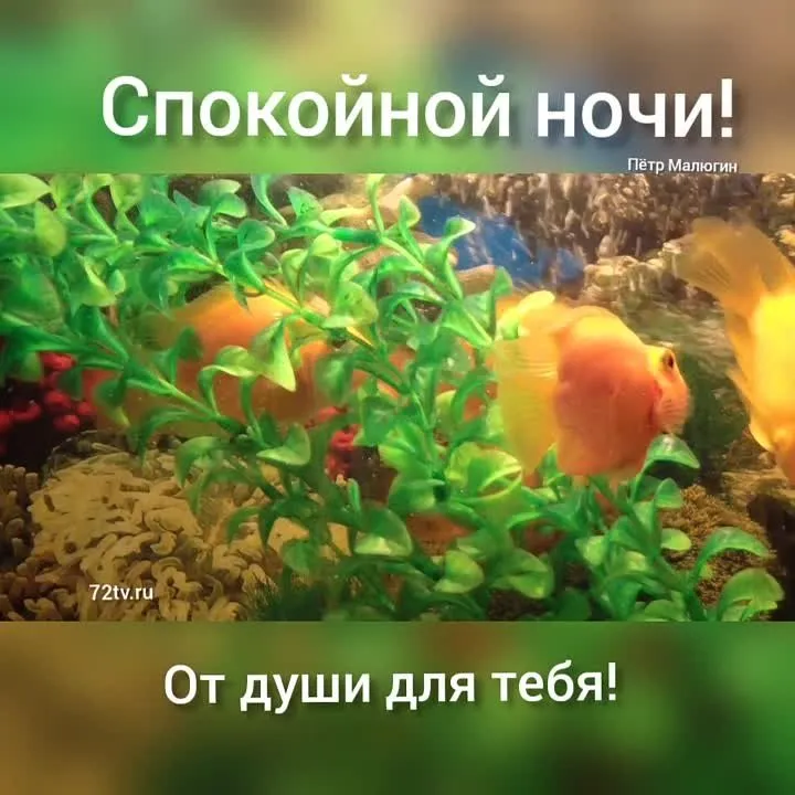 Открытка "Спокойной ночи, от души для тебя!" – Теплое пожелание перед сном