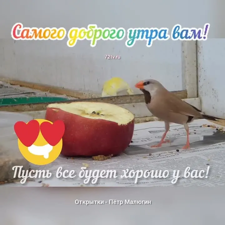 Самое доброе утро вам! Открытка для отличного начала дня