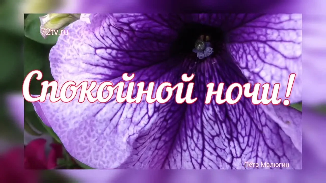 Нежная открытка "Спокойной ночи"! Подарите теплые сны!