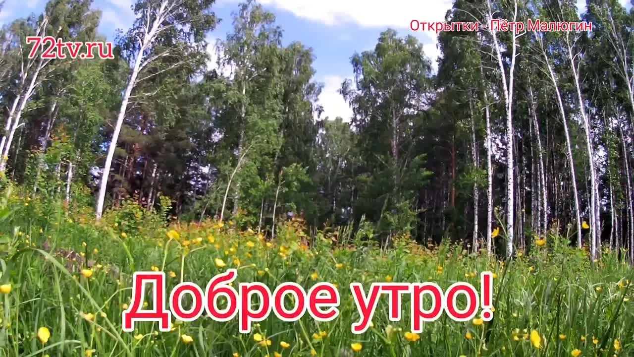 Открытка "С добрым утром!" – зарядитесь позитивом на весь день!