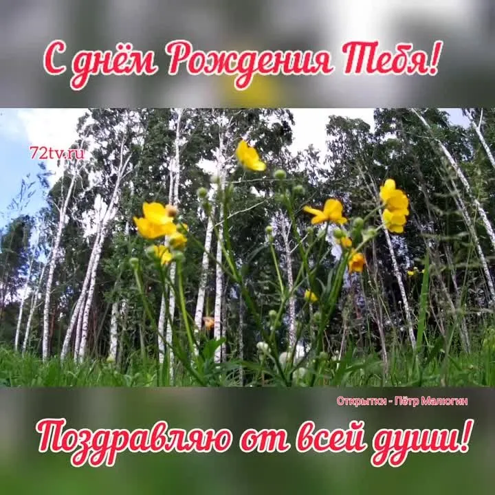 Видеооткрытка с днем рождения: скачать ролик бесплатно