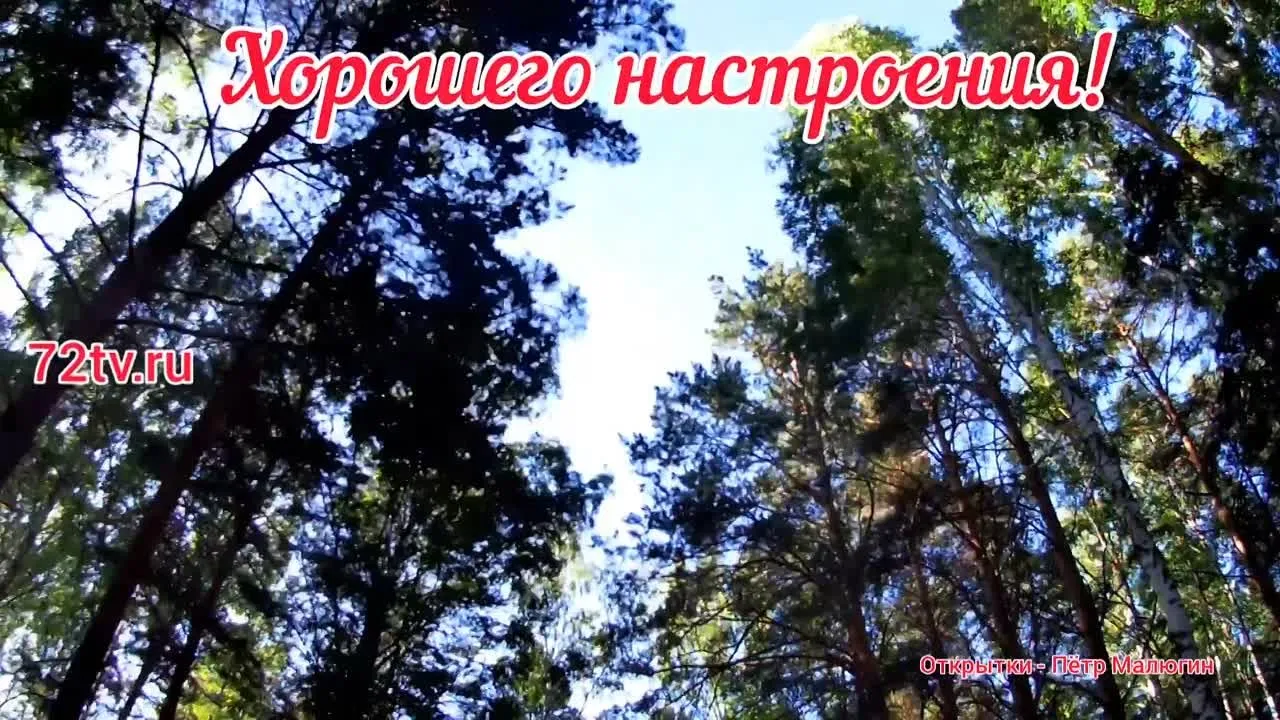 Видеооткрытка хорошего настроения скачать бесплатно