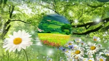 Видео-пожелание с Добрым Утром для друзей! Скачай бесплатно! 😊