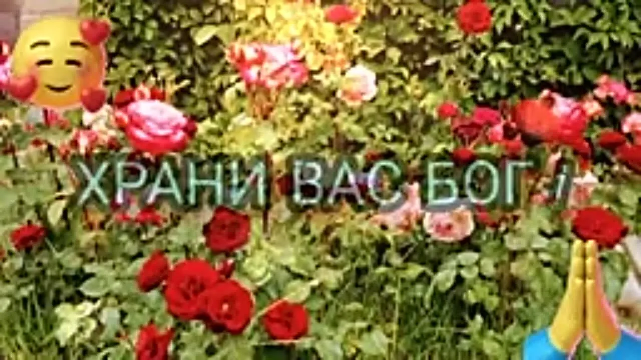 Прекрасное утро для тебя! Открытка с добрым утром