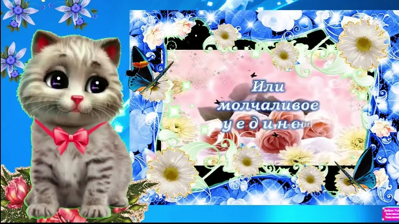 Видео открытка с пожеланием прекрасного дня и настроения