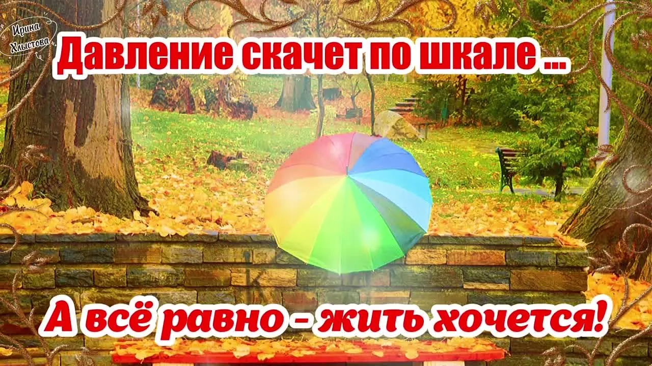 Доброе утро: скачать открытку бесплатно! для WhatsApp и Viber!