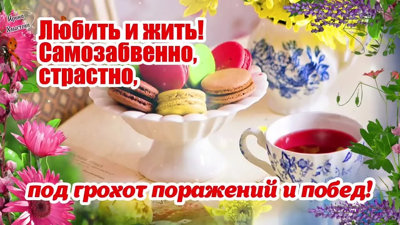 Доброе утро видео открытка: живите, радуйтесь, любите