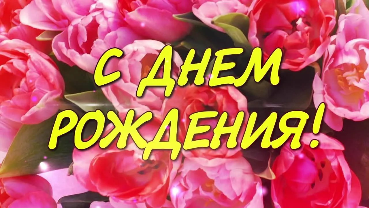 Шикарное поздравление с днем рождения: видео открытка