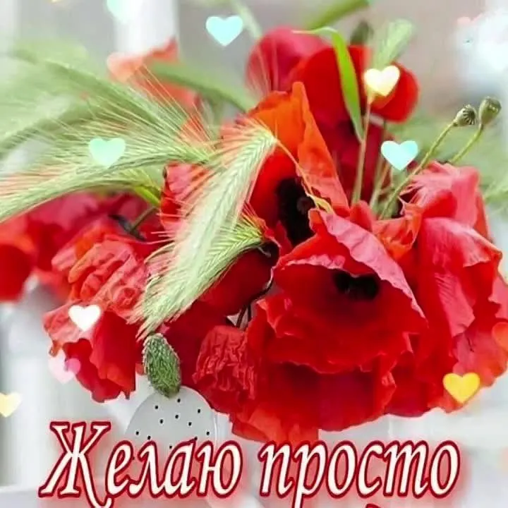 Красивые открытки и поздравления скачать бесплатно