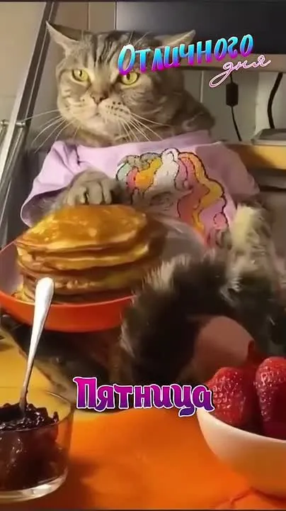 Красивые открытки и поздравления: Подарите радость! 🎉