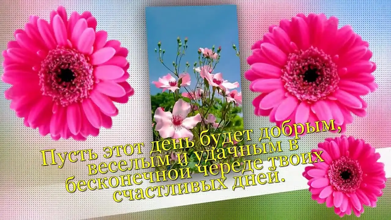 Красивые открытки Добрый день: видео для настроения (720p)