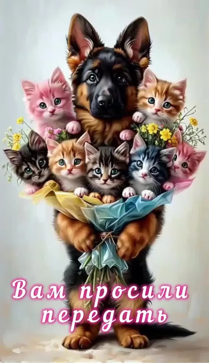 Потрясающее Видео-Поздравление от "Бесплатные открытки"! Подарите Радость! 🎁