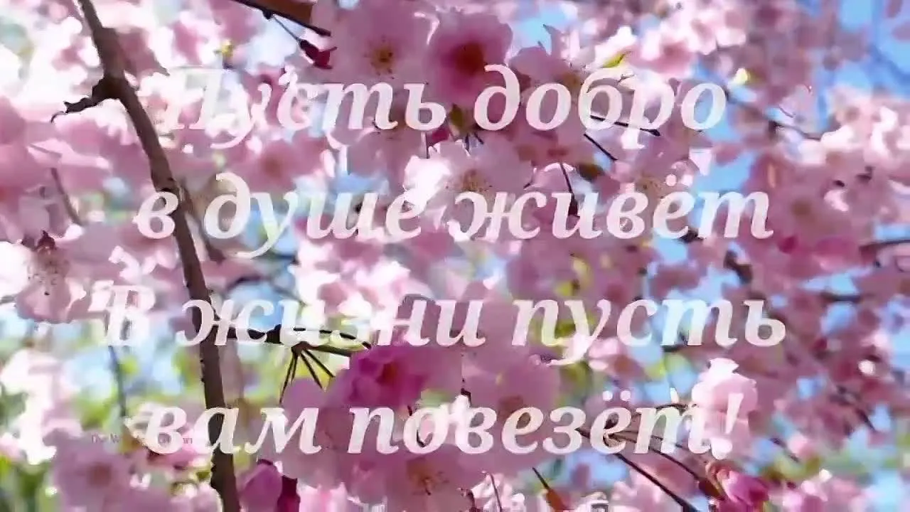 Чистый четверг 2024: поздравления и открытки бесплатно