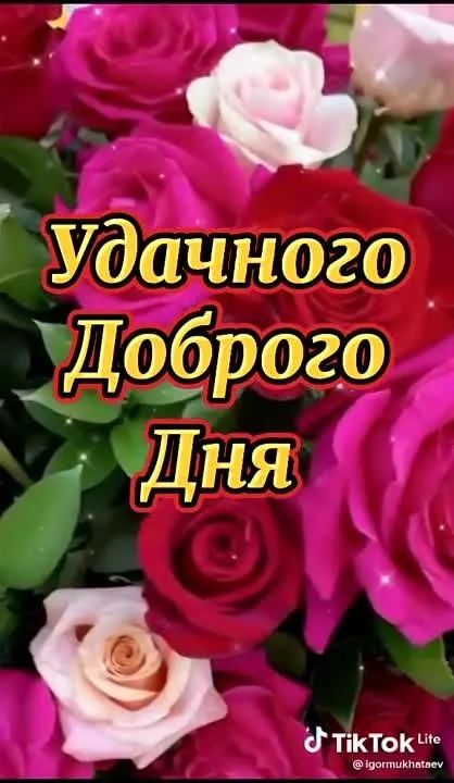 Доброе утро! Начни день с позитива! ✨