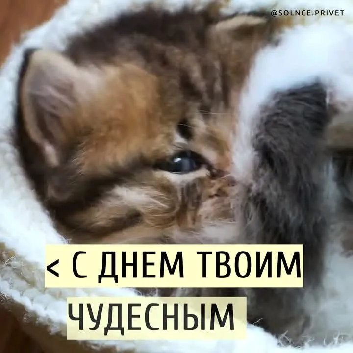 Доброе утро! Красивая открытка-пожелание для вас!