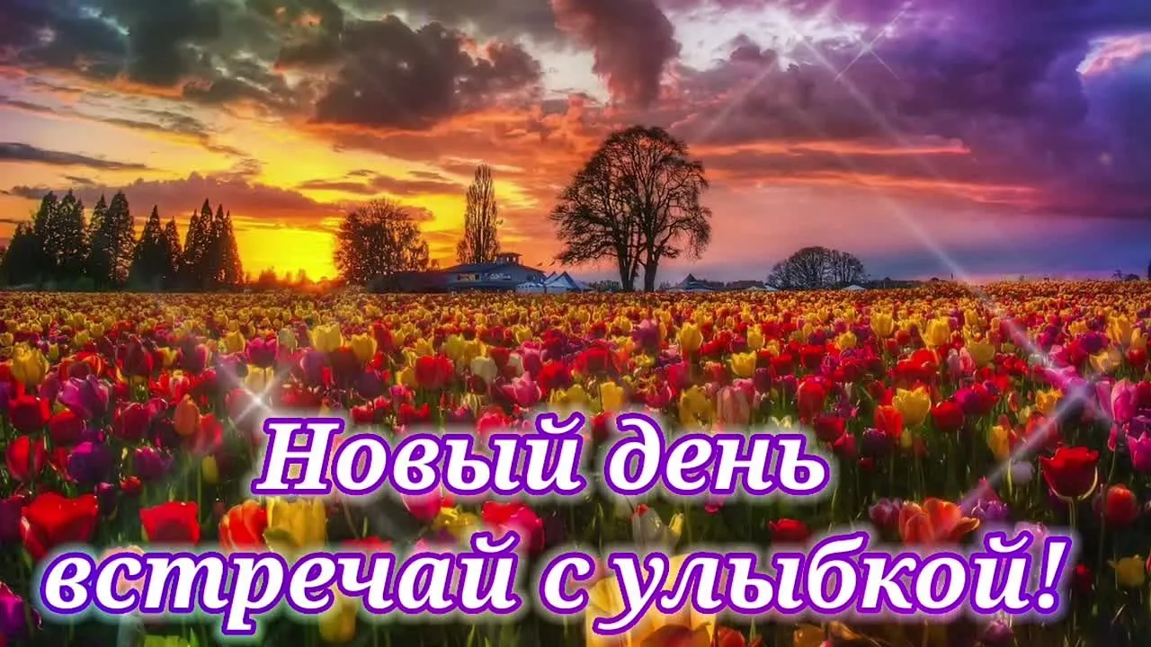 Скачай бесплатно видео-открытку 'Доброе утро!' для WhatsApp/Viber