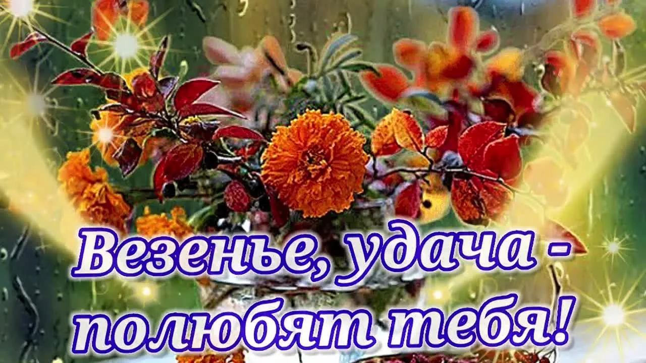 Скачать бесплатно видео открытку "Доброе утро! Отличного дня!" в MP4