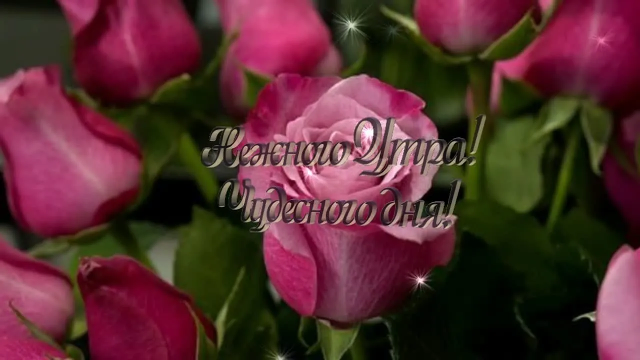 Доброе утро! Встречайте новый день с улыбкой! ☀️