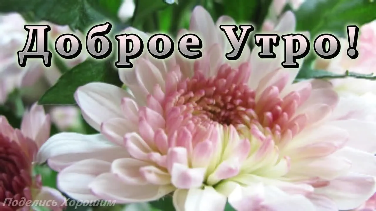 Доброе утро! Начни день с музыкальной открытки! 🎶