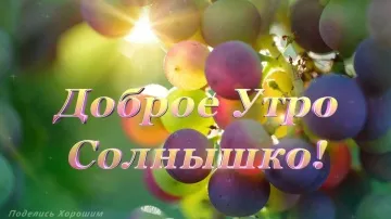 Скачать видео-открытку "Доброе Утро Солнышко!" бесплатно! MP4 для телефона