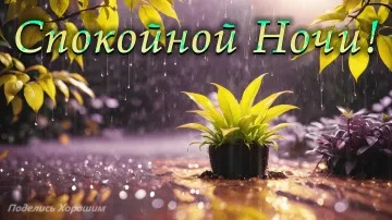 Спокойной Ночи! Нежная музыкальная открытка для вас