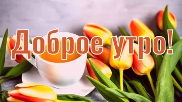 Доброе утро! Красивая открытка с пожеланиями добра