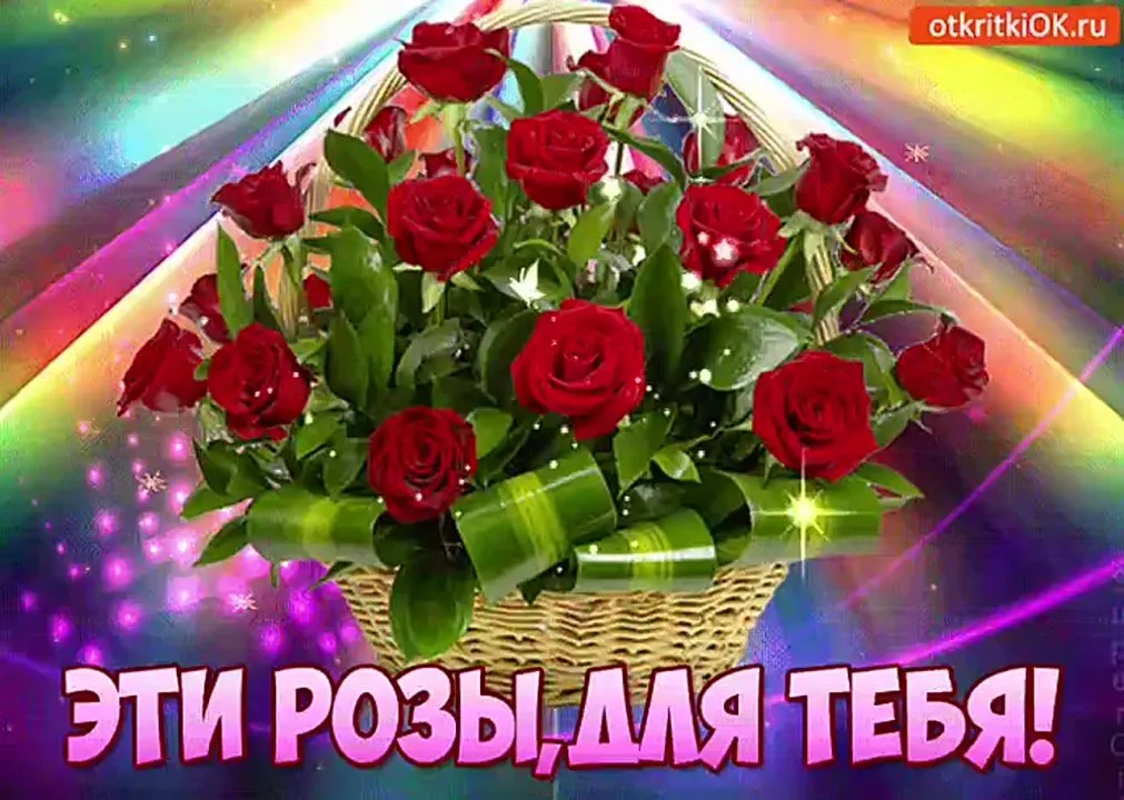 Видео-открытки: Лучшие поздравления для любого случая! 💌