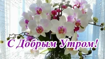 Музыкальная открытка с добрым утром и пожеланиями