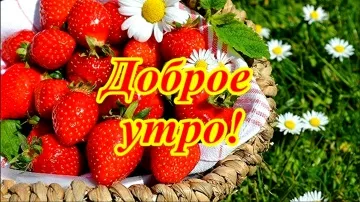 Музыкальная открытка доброе утро