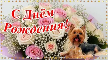 С Днём Рождения! Музыкальная открытка с лучшими пожеланиями!