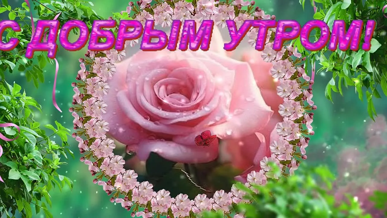 Доброго утра! Начни день с красоты и позитива! ☀️