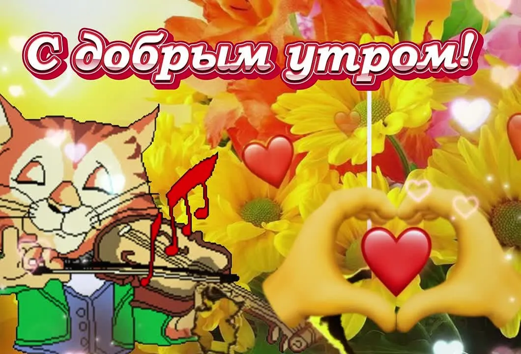 Доброе утро! Прекрасного дня и отличного настроения!