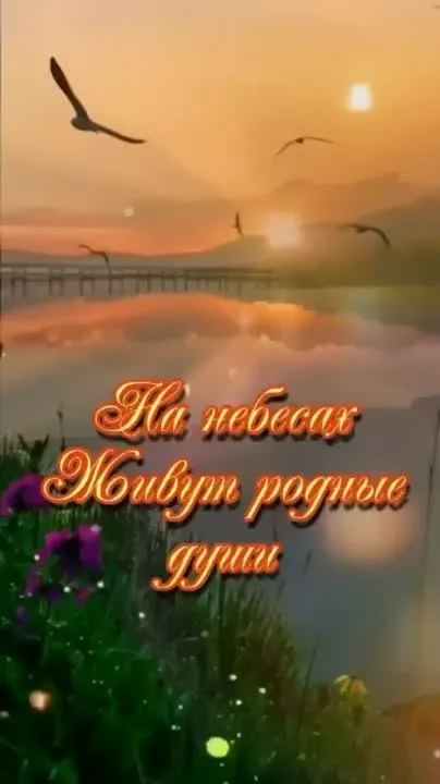 Поздравления и открытки с Днем Рождения: скачать видео