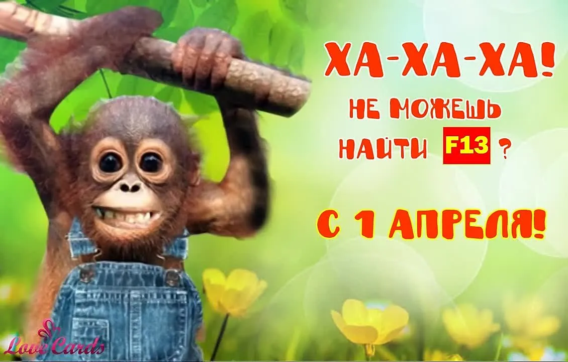Прикольная открытка в День смеха видео скачать бесплатно