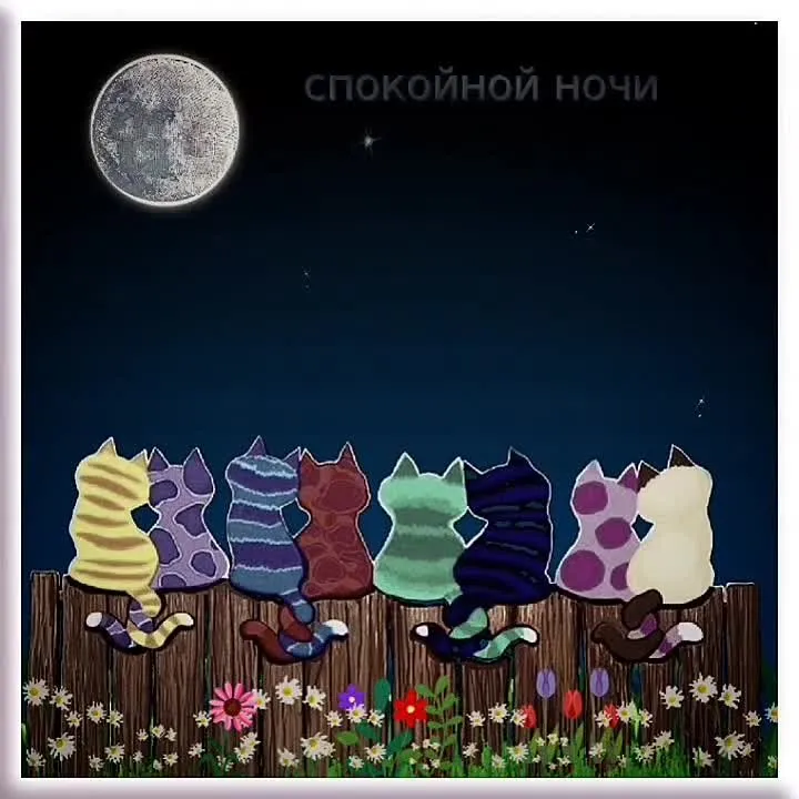 Доброй ночи! Милое видео-пожелание для вас