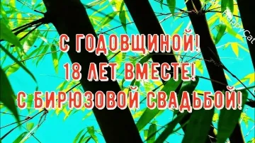 Бирюзовая свадьба 18 лет поздравление скачать бесплатно