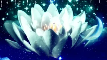 Доброй ночи! Красивое пожелание для друзей