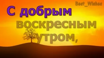 Доброго Воскресенья! Отличная открытка для прекрасного утра и выходного дня! ☀️