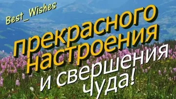 Доброго утра и отличного дня! Позитивная видео-открытка с теплыми пожеланиями