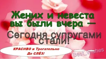 Видеопоздравление на свадьбу молодоженам скачать бесплатно