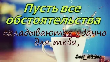 Позитивная видео открытка с пожеланиями отличного дня