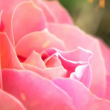 Видеопоздравление ОТЛИЧНОГО ДНЯ: скачать бесплатно