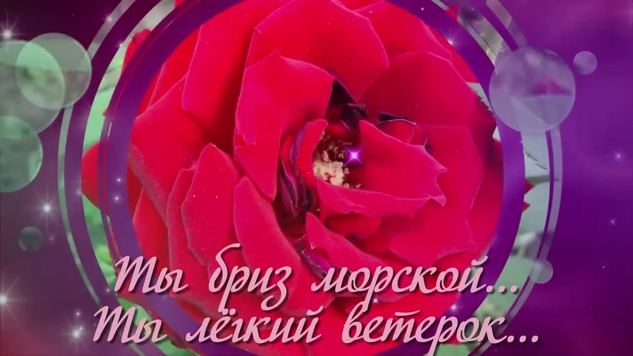 Красивая видео открытка женщине: готовые поздравления