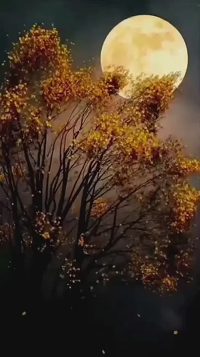 Сладких снов! Пусть ночь будет спокойной