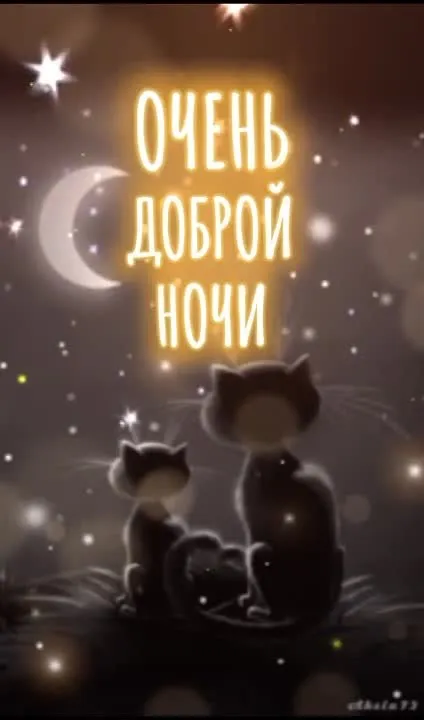 Доброй ночи! Сладких снов! ❤
