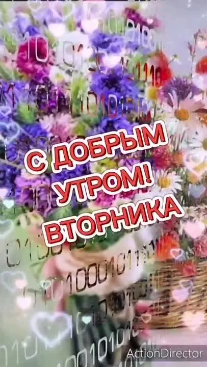 Доброе утро вторника! Видео-открытка для вас