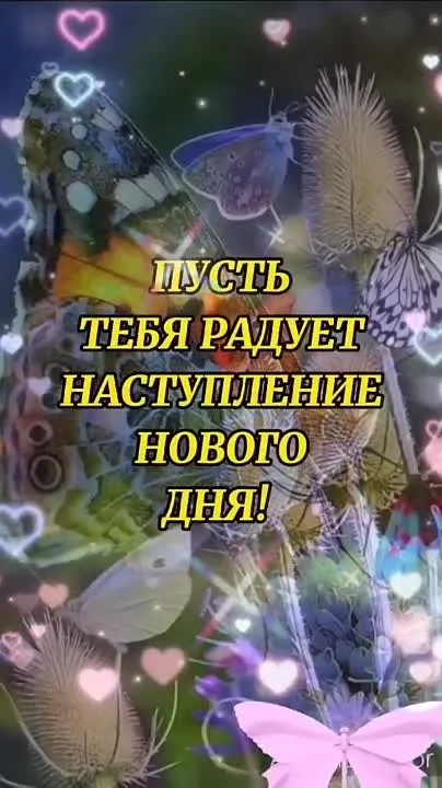 Доброе утро среды! Начните день с позитива!